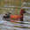 Male Male
