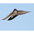In flight. Note: white-tipped tail. In flight. Note: white-tipped tail.