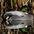 Male Male