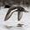 In flight. Note: white stripe reach close to wing tip (Lesser Scaup's show less white). In flight. Note: white stripe reach close to wing tip (Lesser Scaup's show less white).