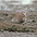 Leadbetter Point, WA; 13 Octobert 1975 Leadbetter Point, WA; 13 Octobert 1975
