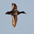 Note: white stripe on wing with gray toward the tip. Note: white stripe on wing with gray toward the tip.