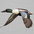 Male Male