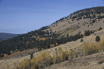 Okanogan Ecoregion scene Okanogan Ecoregion scene